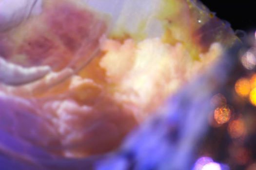 75556_1159903260687577_5520045726161468137_n