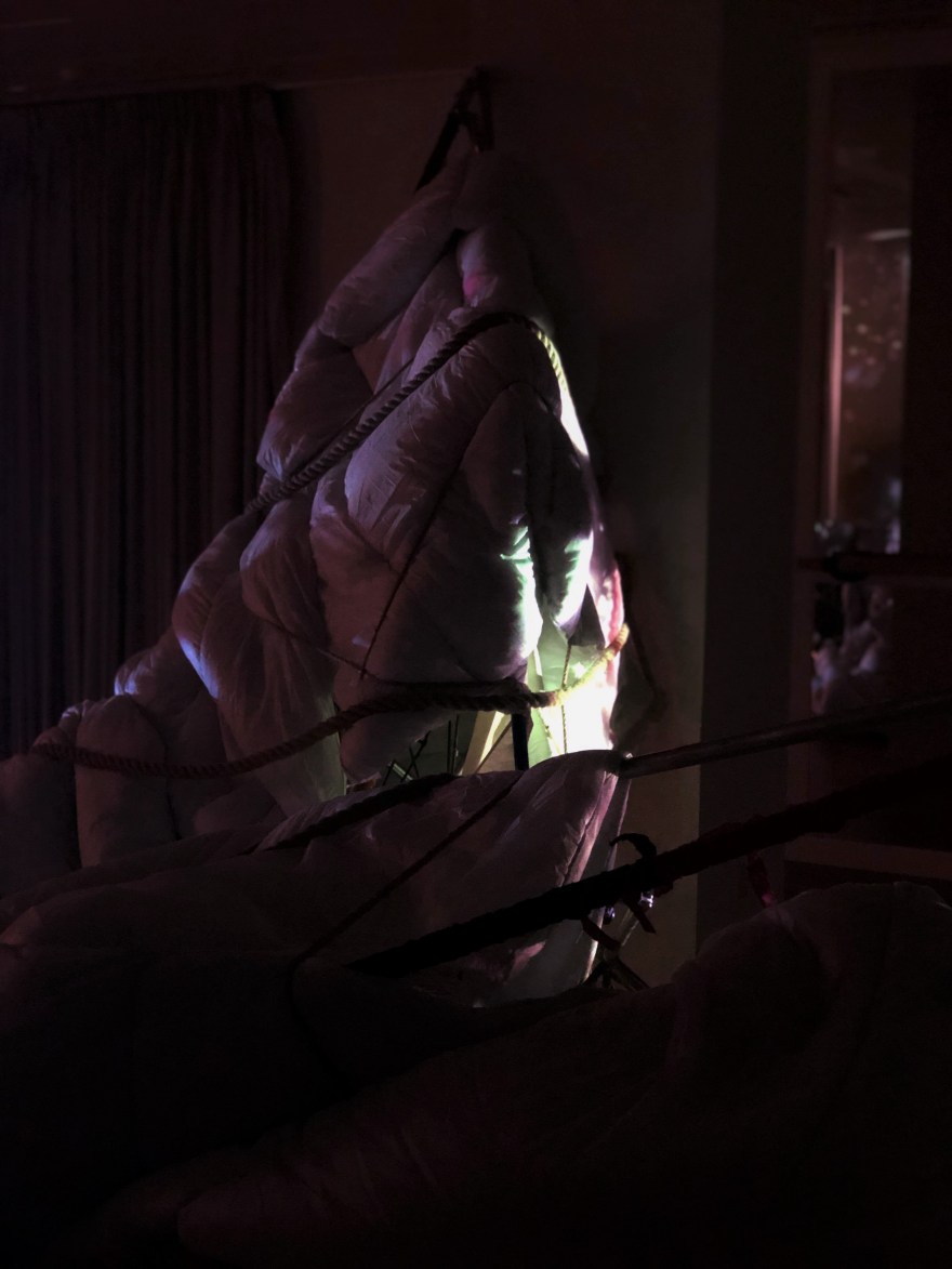 51538283_394338391375770_4849269556109115392_n (2)