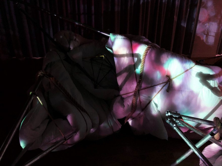 51666628_423942778350314_3751220699704852480_n (2)