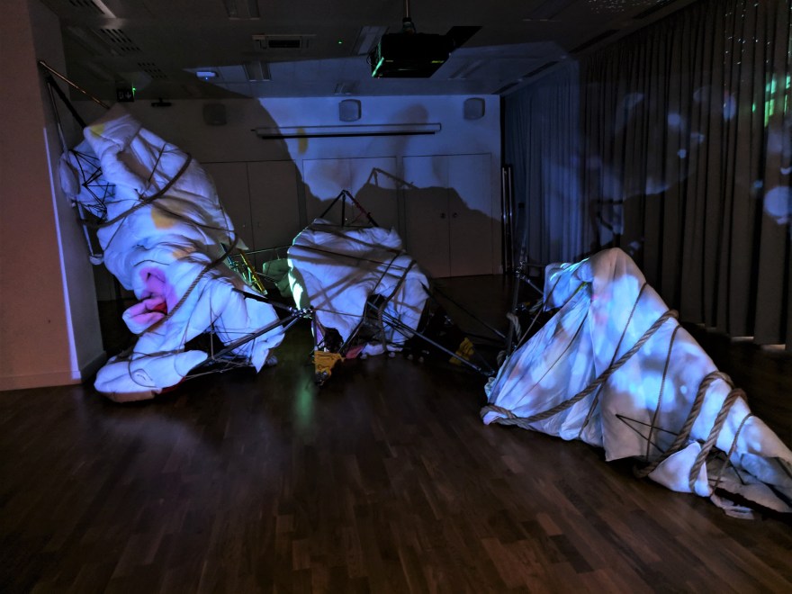 51984808_2254466698115923_7401930604813484032_n (2)