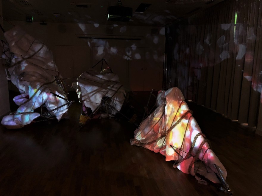 52476628_2159803040708950_9049938122116169728_n (2)